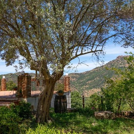 Casale Margherita Turismo Rurale Pollina Kültér fotó
