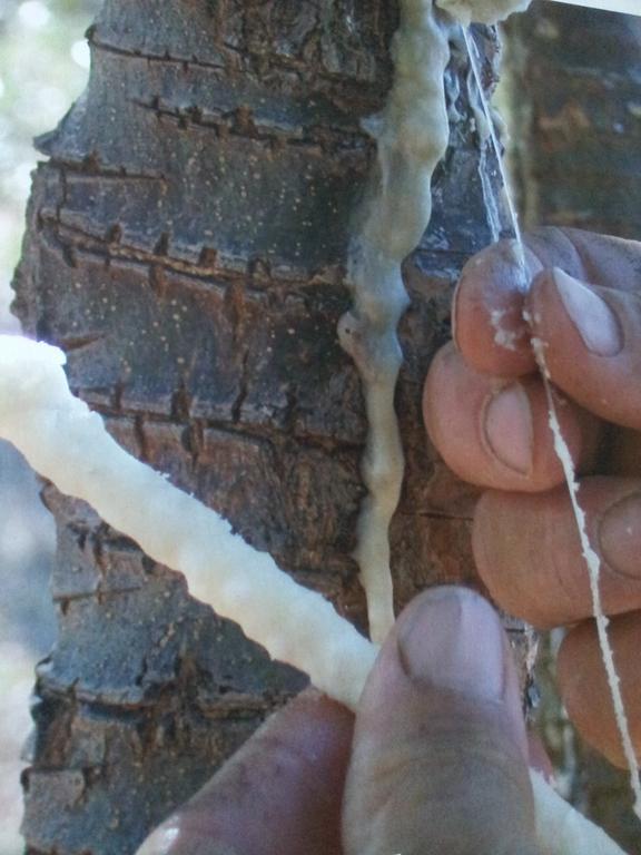 Casale Margherita Turismo Rurale Pollina Kültér fotó